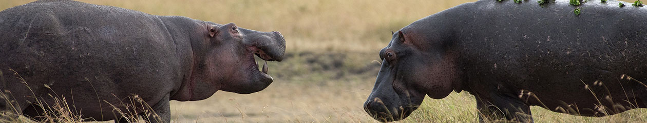 Kenya